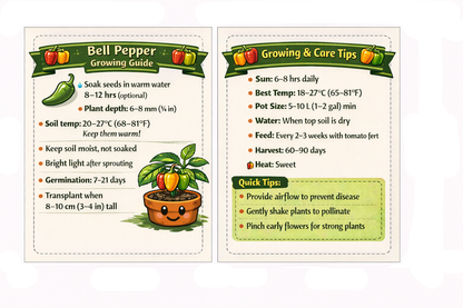 Bell Pepper Seeds - Premium Pack of 40 with Growing Guide