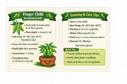 Finger Chilli Seeds - Premium Pack of 40 with Growing Guide