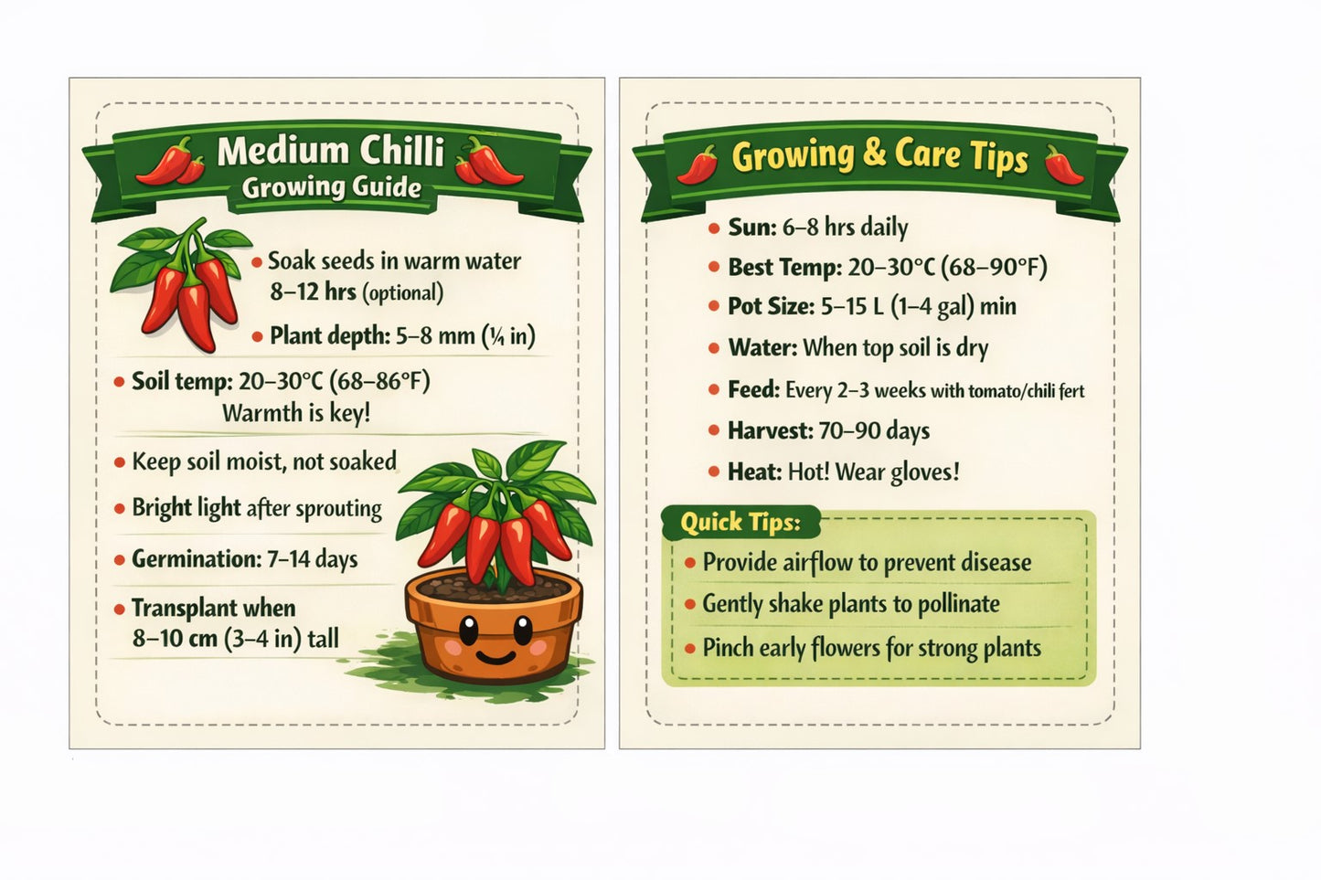 Medium Chilli Seeds - Premium Pack of 40 with Growing Guide