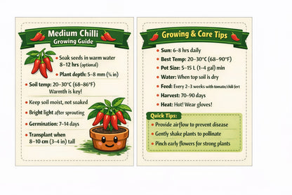 Medium Chilli Seeds - Premium Pack of 40 with Growing Guide