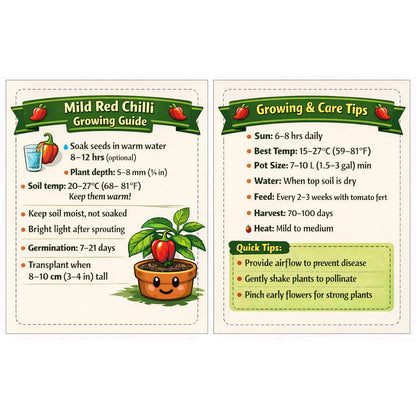 Mild Red Chilli Seeds - Premium Pack of 40 with Growing Guide