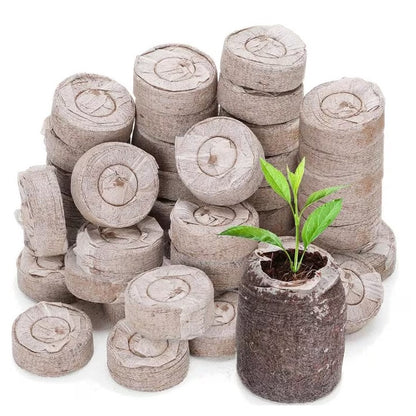 Peat-Free Coir Seed Starter Pellets - Pack of 20